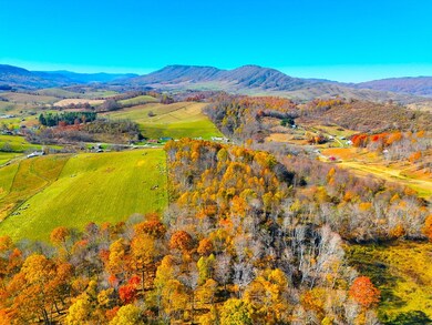 15.98 ac B F Buchanan Highway Quarter Horse Cir, Tazewell, VA 24608 - photo 6