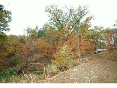 View. Side yard View!