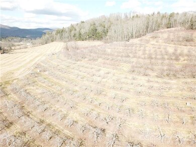 999999 Chimney Rock Rd, Hendersonville, NC 28792 - photo 3