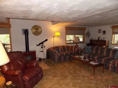 0 Mapel Ln unit 685310, Durango, CO 81301 - photo 6