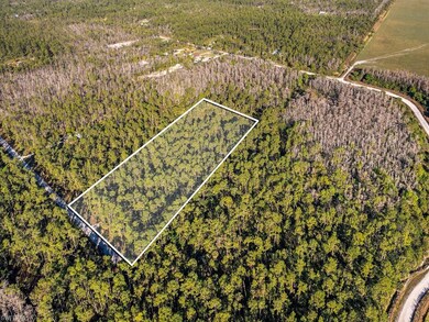 XXXX 2nd Ave SE, Naples, FL 34117 - photo 3