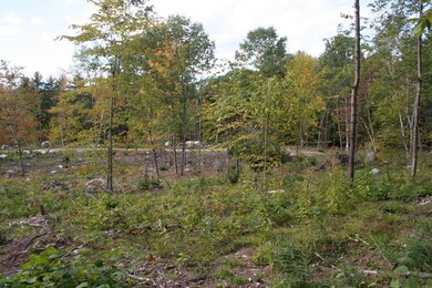 View from rear of lot 275' to Keene...
