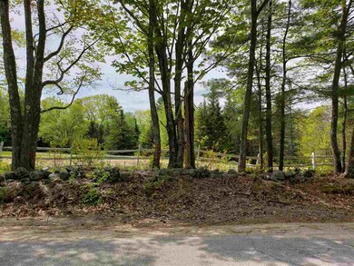 0 Walsh Rd, Wakefield, NH 03872 - photo 3