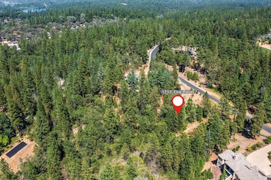 1712-Lot 304 The Point, Meadow Vista, CA 95722 - photo 5