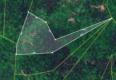 11 acres Off Hwy 107s, Del Rio, TN 37727 - photo 2