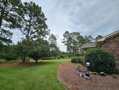 915 Riggs Store Rd, Meigs, GA 31765 - photo 4