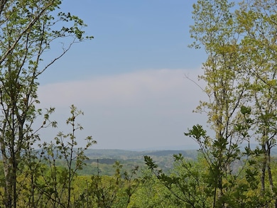 Lot 105 Twisted Oak Rd, Talking Rock, GA 30175 - photo 3