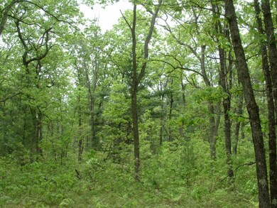 DSCF0108