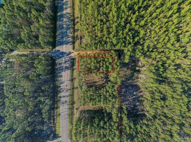 BLK 224 Avalon Blvd, Milton, FL 32583 - photo 4