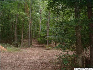 0 White Elephant Rd unit 939868, Grant, AL 35747 - photo 3