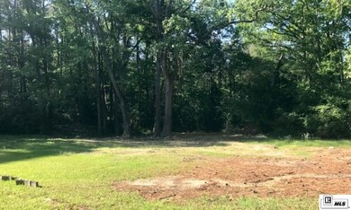 360 Highway 818, Ruston, LA 71270 - photo 3