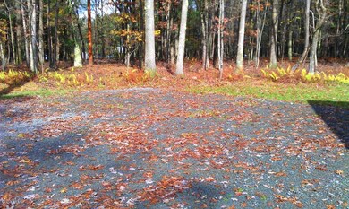 Lot 2 Route 590, Hawley, PA 18428 - photo 3