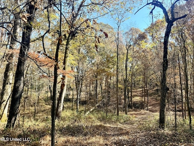 0 Laws Hill Rd unit 4133415, Holly Springs, MS 38635 - photo 4