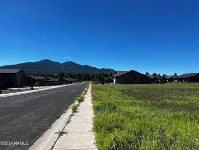 219 Trilogy Dr unit 46, Williams, AZ 86046 - photo 5