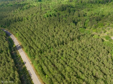 113 Buffalo Rd, Benton, LA 71006 - photo 4