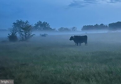 No Address Assigned. Cather Rd, Berryville, VA 22611 - photo 7