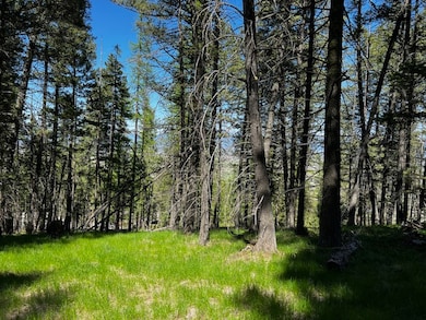 400 & 406 Orchard Ridge Rd, Kalispell, MT 59901 - photo 7