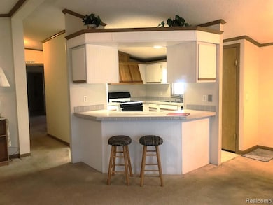 614 Spruce Ct, Jonesville, MI 49250 - photo 5