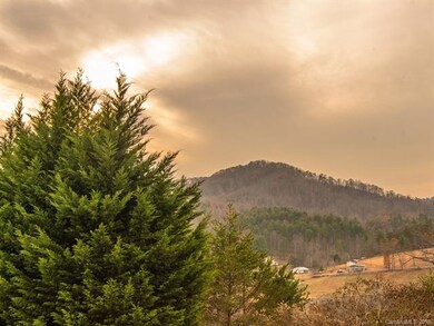 55 Farmstead Rd unit 20, Leicester, NC 28748 - photo 2