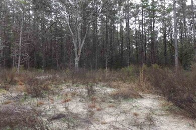 0 Seameadows Dr unit 314858, Perry, FL 32348 - photo 3