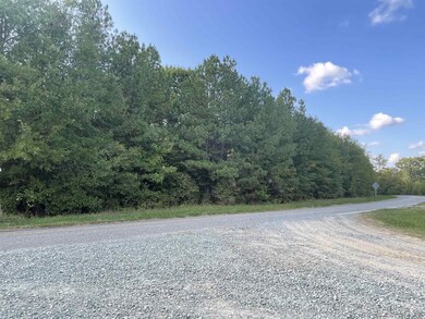 2389 Bowers Store Rd, Siler City, NC 27344 - photo 5