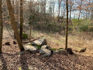 000 Big Bottom Rd, Sparta, TN 38583 - photo 5