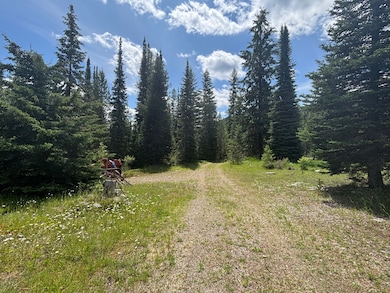 72 Sheldon Flats Rd, Libby, MT 59923 - photo 7
