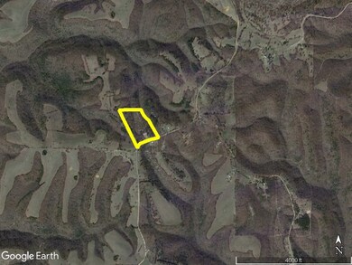 4191 N Woolum Rd, Western Grove, AR 72685 - photo 2