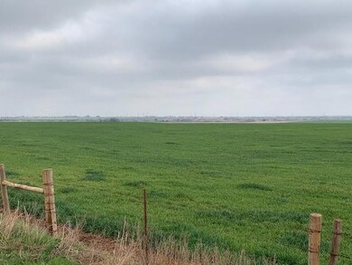 View of local wilderness with a rural view