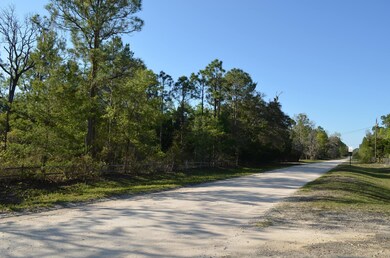 000 Sea Grass Dr unit 1, Keaton Beach, FL 32348 - photo 5