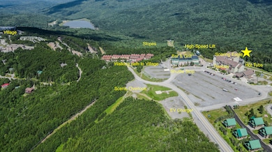 409 Soaring Eagle Ln, Snowshoe, WV 24934 - photo 2