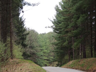 8670 Voris Rd, Logan, OH 43138 - photo 3