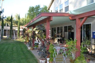 Backyard Patio 