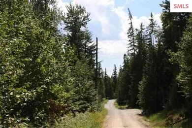 Lot 4 Larsen Ranch Ln, Sandpoint, ID 83864 - photo 4