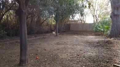 3rd st backyard