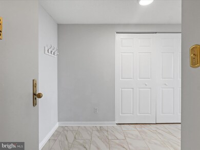 3709 S George Mason Dr unit 1106 E, Baileys Crossroads, VA 22041 - photo 5