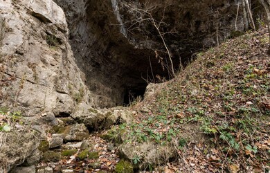 Pulaski55(FULLRES)-8