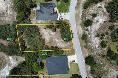 Lot 5 Oggie Ln, Shady Hills, FL 34667 - photo 5