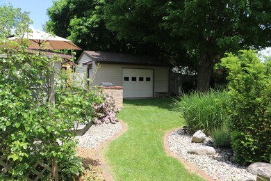 backyard1 (1)