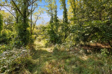002_yawger_rd_bedford_charter_township_m