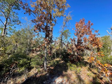 TBD Lot #19 Sea Oaks Dr unit 19, Perry, FL 32348 - photo 4