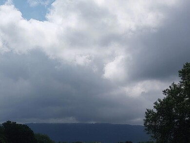 173 Claire St, Benton, TN 37307 - photo 4