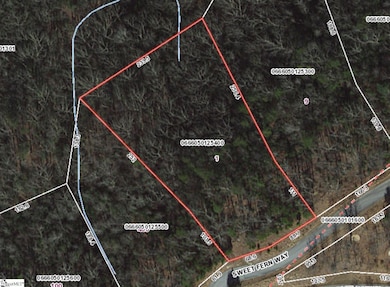 1 Sweet Fern Way, Marietta, SC 29661 - photo 6