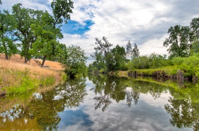 Enjoy Ducks,Various Birds, Deer,Boating
