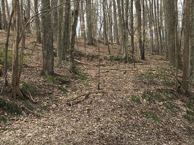 668 Natchez Ln, Sugar Grove, OH 43155 - photo 5