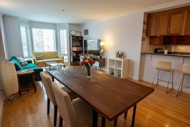 2-14 Saint Paul St unit 307, Brookline, MA 02446 - photo 5