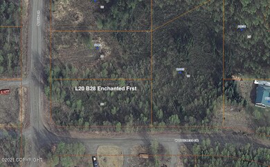 Satellite Image L20 B28 Enchanted Frst