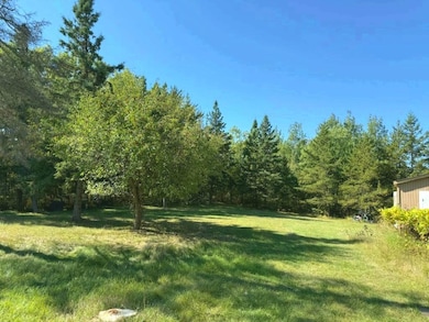 18303 County 4, Park Rapids, MN 56470 - photo 7