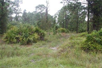 1260 Belfast Ave, Lehigh Acres, FL 33913 - photo 3