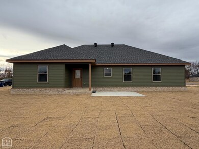 193 Granny Jean Ln, Paragould, AR 72450 - photo 4